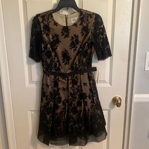 Eliza J cream dress with black lace - new